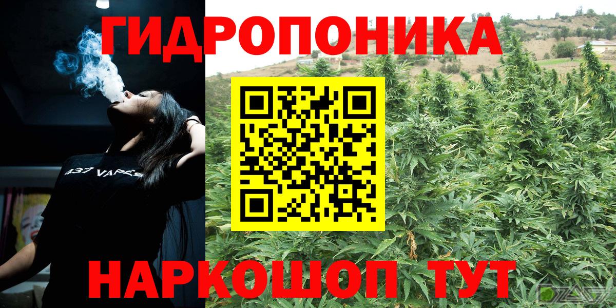 Алейск  Шишки марихуана LSD WEED  Вход с VPN  Бошки Шишки OG Kush  Конопля LSD WEED 